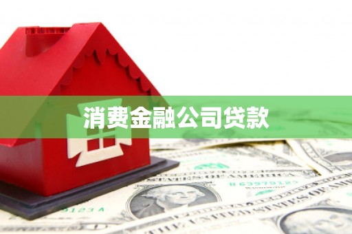 特克斯消费金融公司贷款