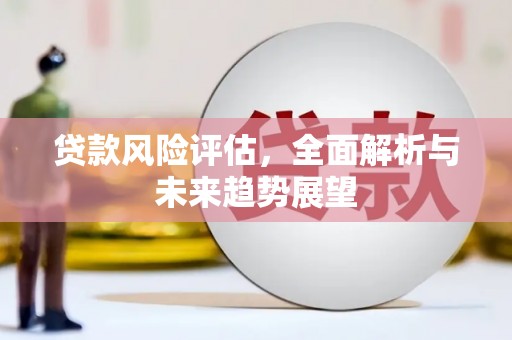 沿河贷款风险评估，全面解析与未来趋势展望