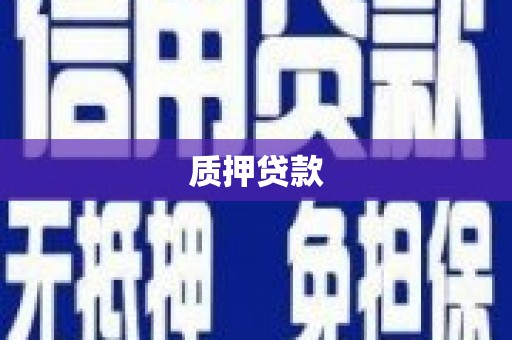 平顶山质押贷款