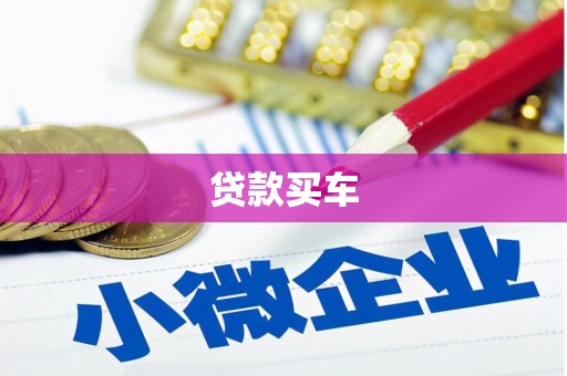 镇安贷款买车