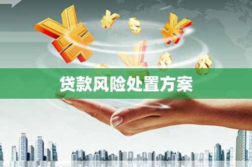 上甘岭贷款风险处置方案
