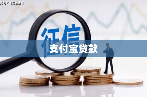 望城支付宝贷款