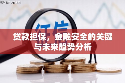 黄骅贷款担保，金融安全的关键与未来趋势分析