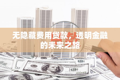 梧州无隐藏费用贷款，透明金融的未来之路