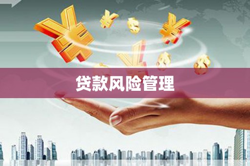 靖西贷款风险管理