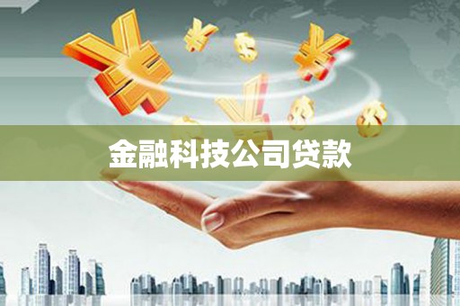 四湖金融科技公司贷款