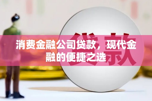 盐埕消费金融公司贷款，现代金融的便捷之选