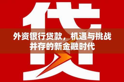 垣曲外资银行贷款，机遇与挑战并存的新金融时代