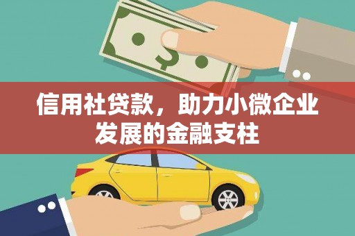 磐石信用社贷款，助力小微企业发展的金融支柱