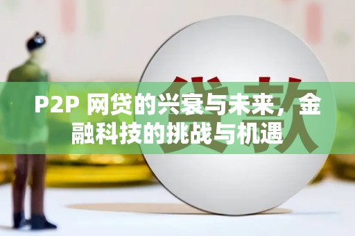 志丹P2P 网贷的兴衰与未来，金融科技的挑战与机遇