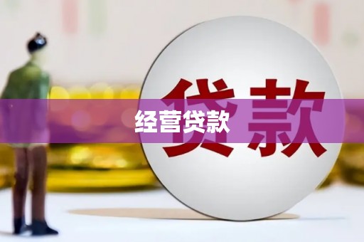 南海经营贷款