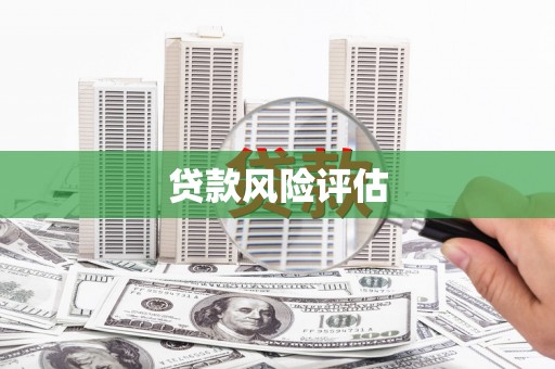 玛曲贷款风险评估