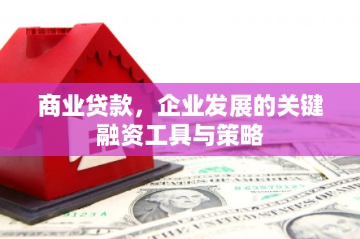 西秀商业贷款，企业发展的关键融资工具与策略