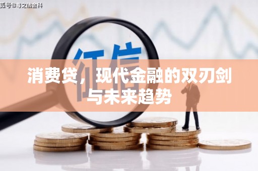 林西消费贷，现代金融的双刃剑与未来趋势