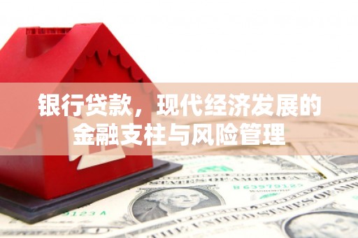 巴青银行贷款，现代经济发展的金融支柱与风险管理