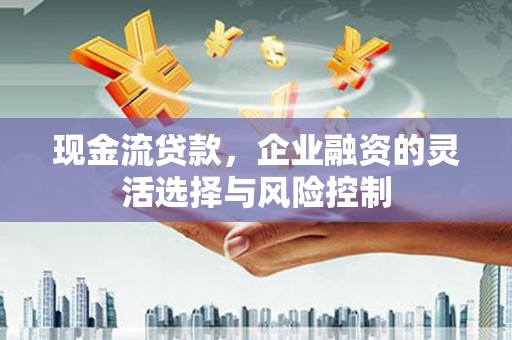 林甸现金流贷款，企业融资的灵活选择与风险控制