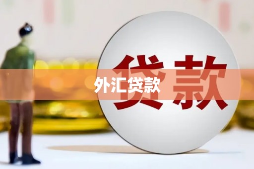 埔里外汇贷款