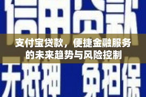 肃南支付宝贷款，便捷金融服务的未来趋势与风险控制
