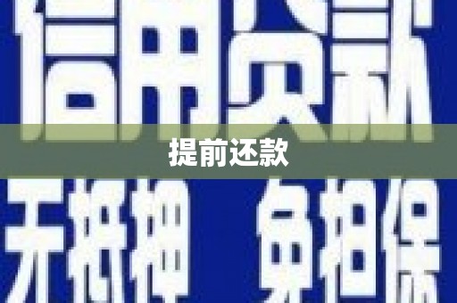 将军提前还款