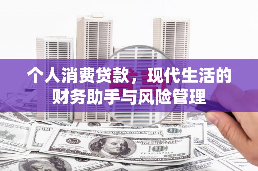 天峨个人消费贷款，现代生活的财务助手与风险管理