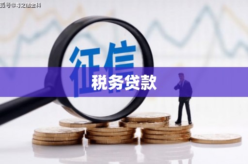 雾峰税务贷款