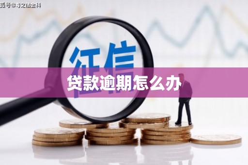 太保贷款逾期怎么办