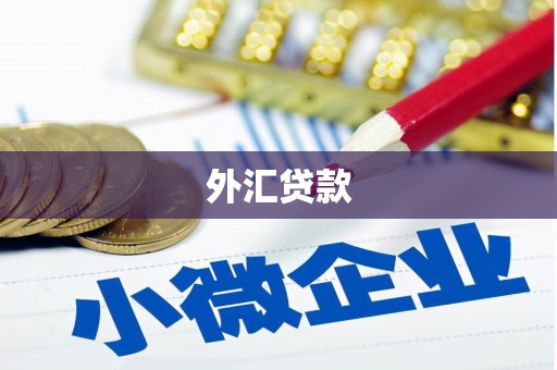 左云外汇贷款