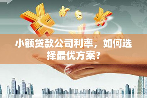 弥陀小额贷款公司利率，如何选择最优方案？