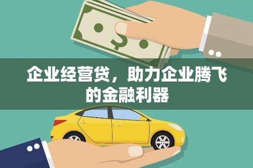 麟游企业经营贷，助力企业腾飞的金融利器