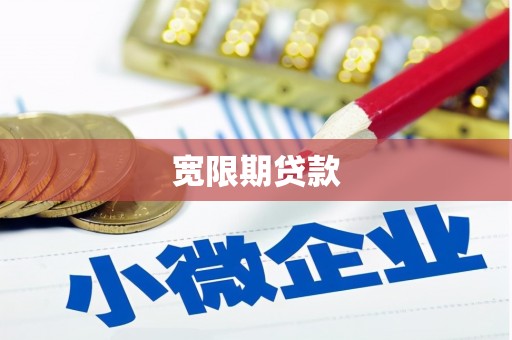 二仑宽限期贷款