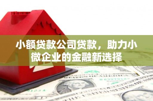 霍城小额贷款公司贷款，助力小微企业的金融新选择
