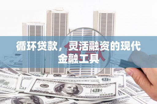 洛宁循环贷款，灵活融资的现代金融工具