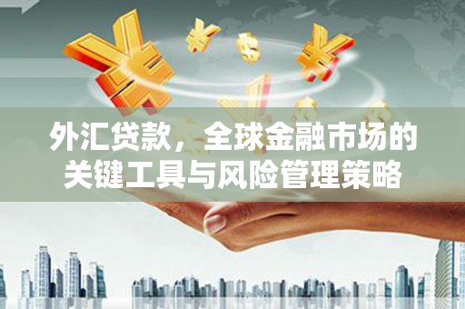 平泉外汇贷款，全球金融市场的关键工具与风险管理策略