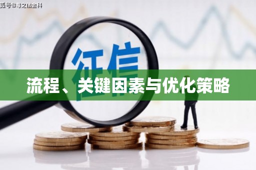 桃山流程、关键因素与优化策略