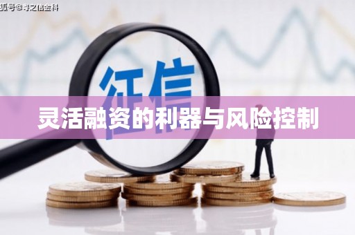 周宁灵活融资的利器与风险控制