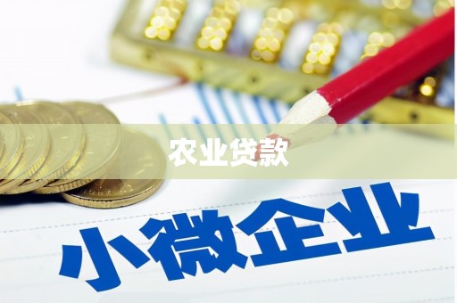 乳源农业贷款