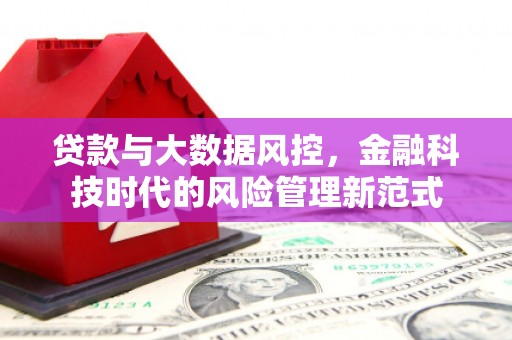 阜康贷款与大数据风控，金融科技时代的风险管理新范式