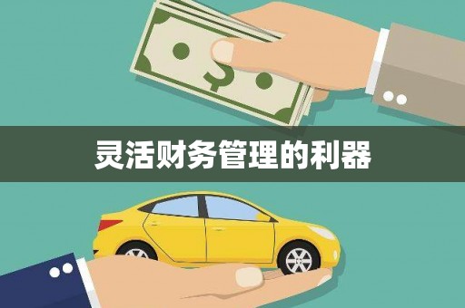 汇川灵活财务管理的利器