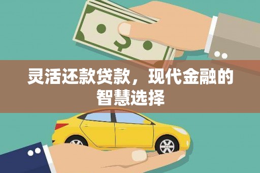龙湾灵活还款贷款，现代金融的智慧选择