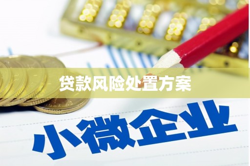 松江贷款风险处置方案