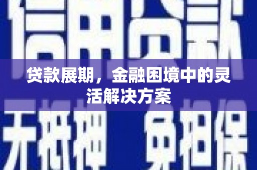 大甲贷款展期，金融困境中的灵活解决方案