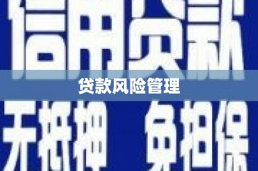 城区贷款风险管理