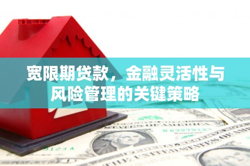 湖内宽限期贷款，金融灵活性与风险管理的关键策略