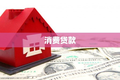 九龙消费贷款
