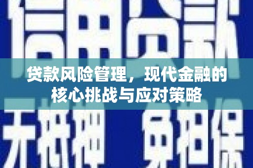 惠安贷款风险管理，现代金融的核心挑战与应对策略