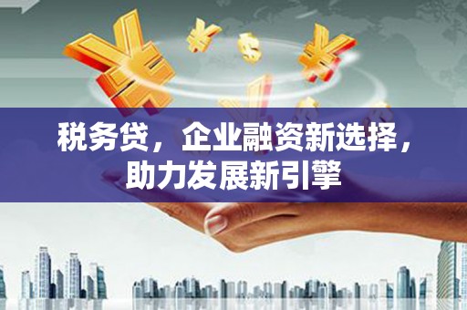贺兰税务贷，企业融资新选择，助力发展新引擎