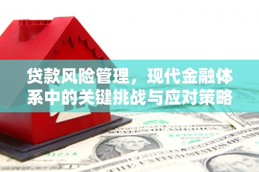 荥阳贷款风险管理，现代金融体系中的关键挑战与应对策略