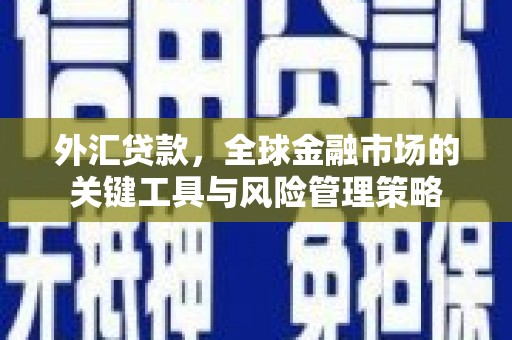 友谊外汇贷款，全球金融市场的关键工具与风险管理策略
