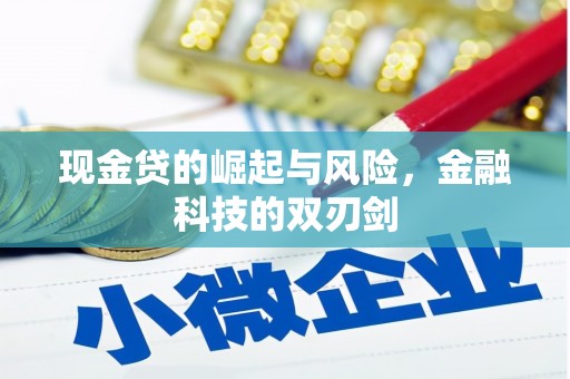 马尔康现金贷的崛起与风险，金融科技的双刃剑