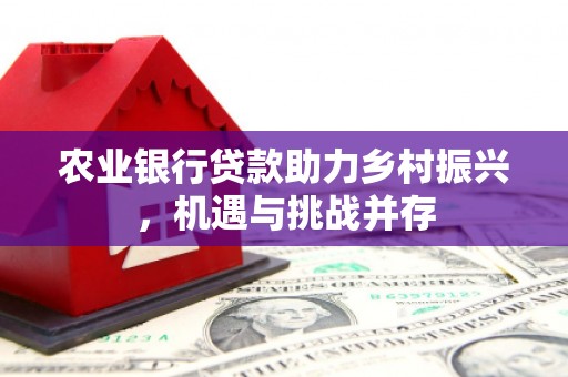 安康农业银行贷款助力乡村振兴，机遇与挑战并存